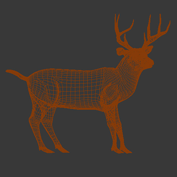 3ds max whitetail deer walkcycle - White-tailed deer walkcycle by gauthier12